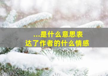 ...是什么意思表达了作者的什么情感