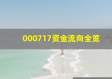 000717资金流向全览