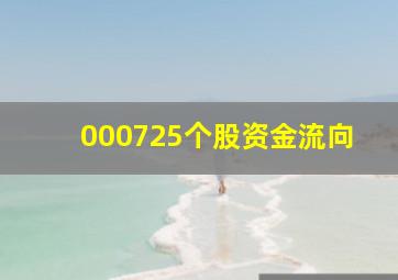 000725个股资金流向