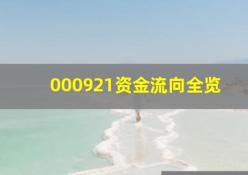 000921资金流向全览