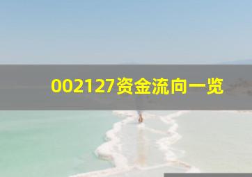 002127资金流向一览