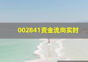 002841资金流向实时