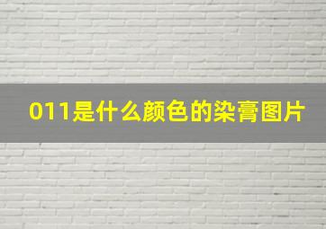 011是什么颜色的染膏图片