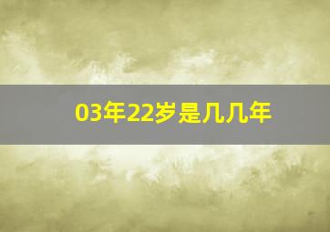 03年22岁是几几年