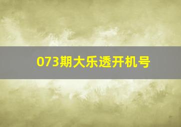 073期大乐透开机号