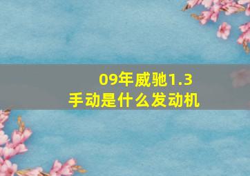 09年威驰1.3手动是什么发动机