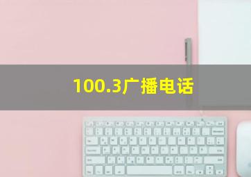 100.3广播电话