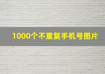 1000个不重复手机号图片