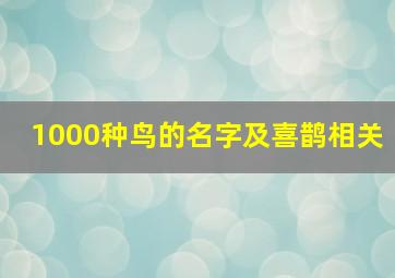 1000种鸟的名字及喜鹊相关