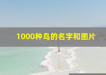 1000种鸟的名字和图片