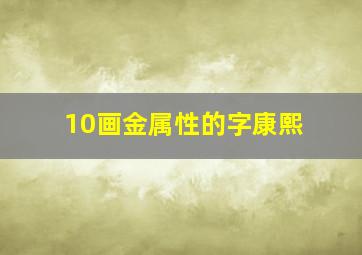 10画金属性的字康熙