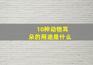 10种动物耳朵的用途是什么