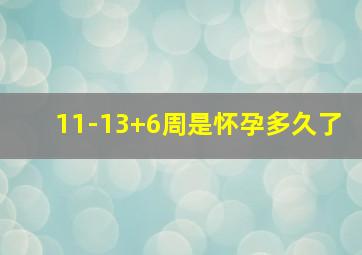 11-13+6周是怀孕多久了