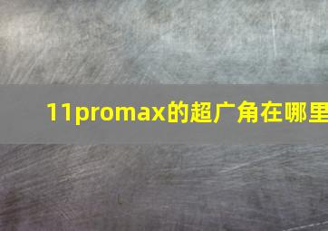 11promax的超广角在哪里