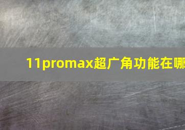 11promax超广角功能在哪