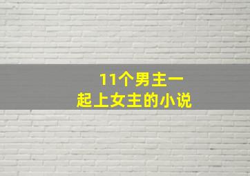 11个男主一起上女主的小说