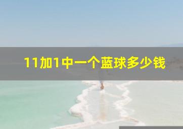 11加1中一个蓝球多少钱