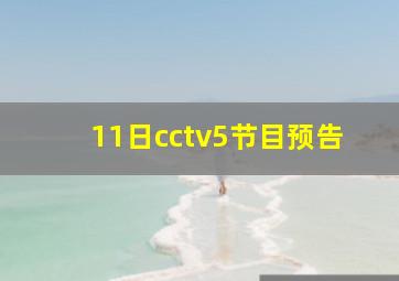 11日cctv5节目预告