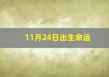 11月24日出生命运