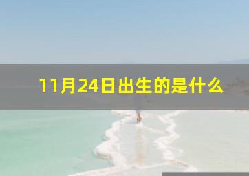 11月24日出生的是什么