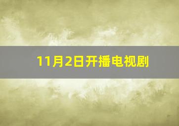 11月2日开播电视剧