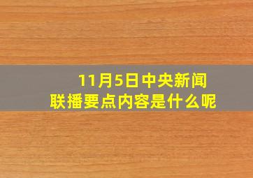 11月5日中央新闻联播要点内容是什么呢