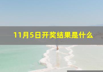 11月5日开奖结果是什么