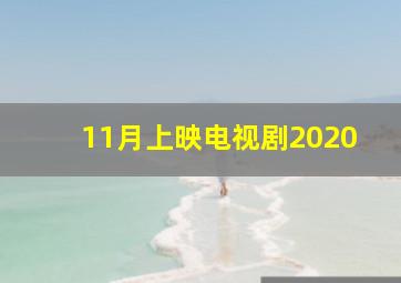 11月上映电视剧2020