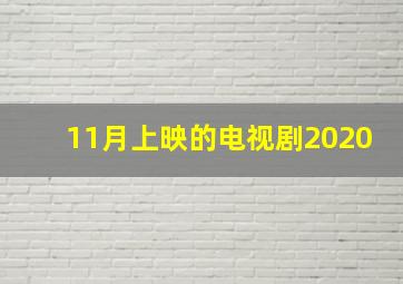 11月上映的电视剧2020