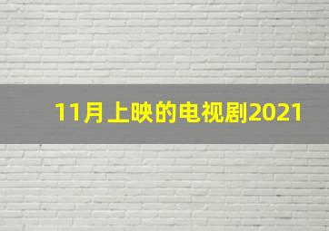 11月上映的电视剧2021