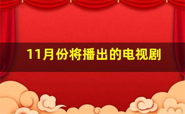 11月份将播出的电视剧