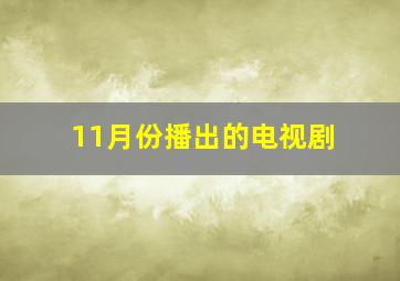 11月份播出的电视剧