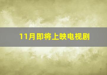 11月即将上映电视剧