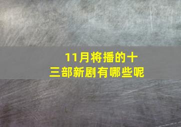 11月将播的十三部新剧有哪些呢