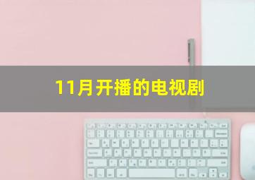 11月开播的电视剧