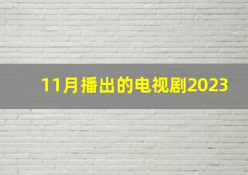 11月播出的电视剧2023