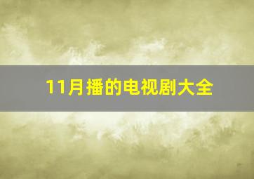 11月播的电视剧大全