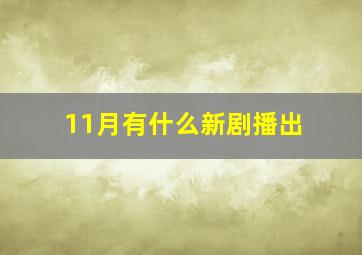 11月有什么新剧播出