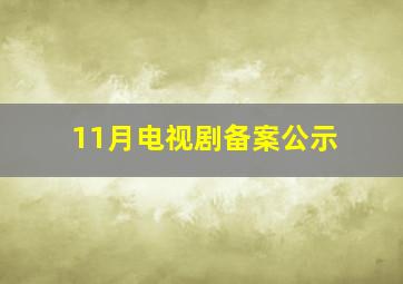 11月电视剧备案公示