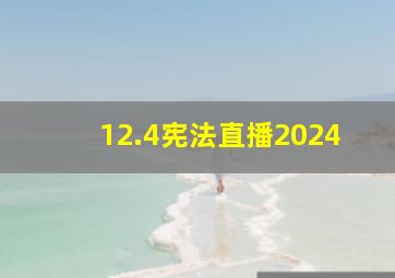 12.4宪法直播2024