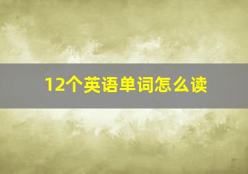 12个英语单词怎么读