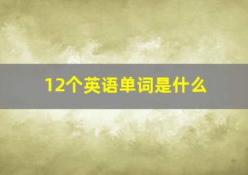 12个英语单词是什么