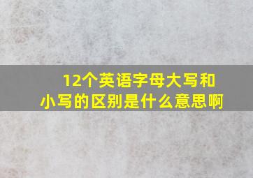 12个英语字母大写和小写的区别是什么意思啊