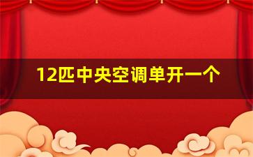 12匹中央空调单开一个