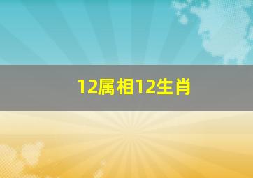 12属相12生肖