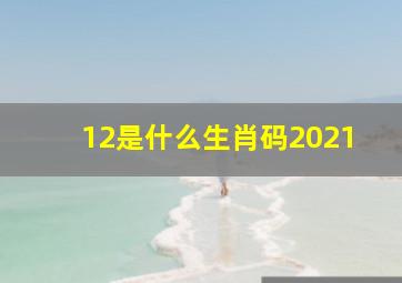 12是什么生肖码2021