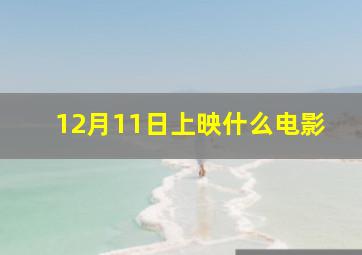 12月11日上映什么电影