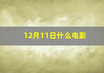 12月11日什么电影