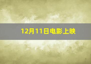 12月11日电影上映