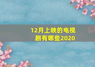 12月上映的电视剧有哪些2020